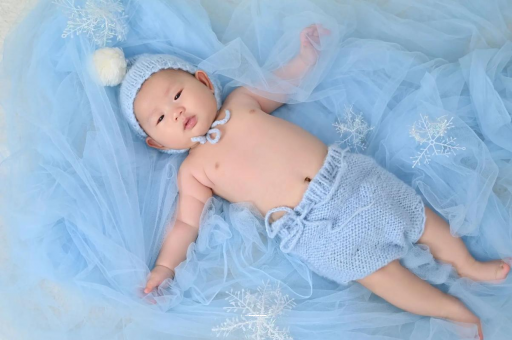 来宾宝宝树怎么样